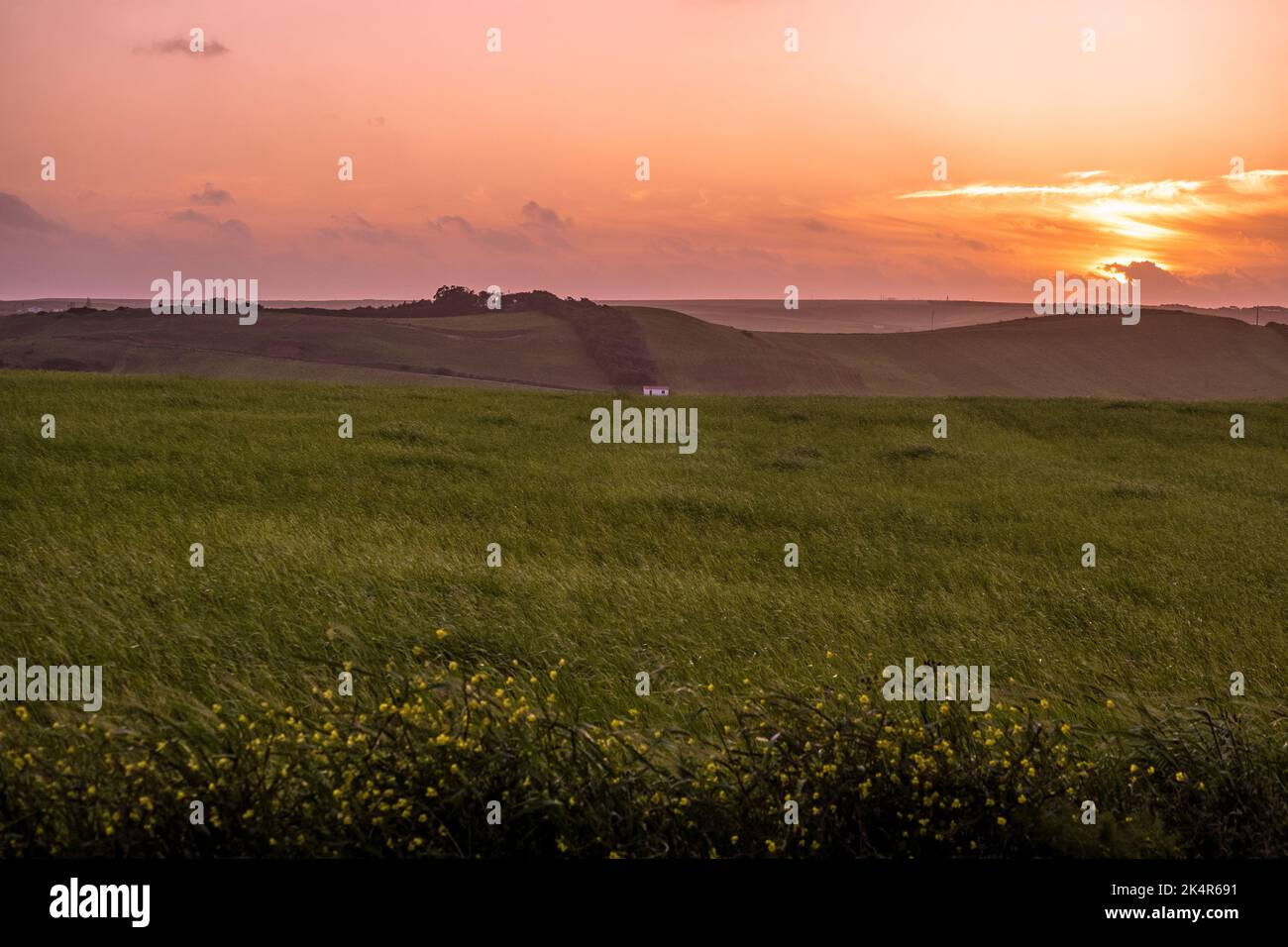 Grasfeld, sanfter Sonnenuntergang, südliches Portugal Stockfoto
