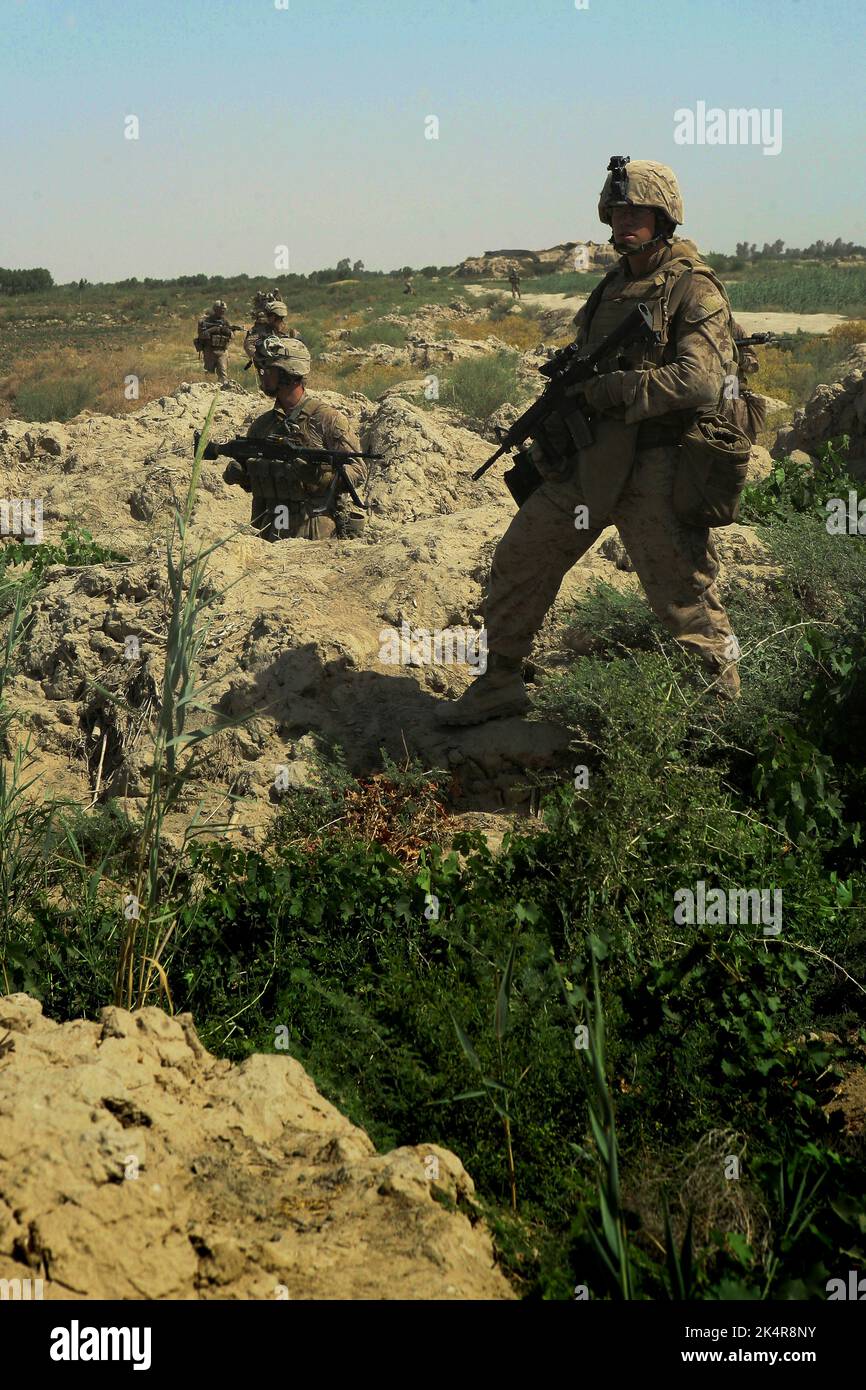 PROVINZ HELMAND, AFGHANISTAN - 27. Juli 2009 - US-Marineinfanteristen mit Fox Company, 2. Bataillon, 8. Marine Regiment gehen während einer Sicherheitskontrolle durch ein Feld Stockfoto
