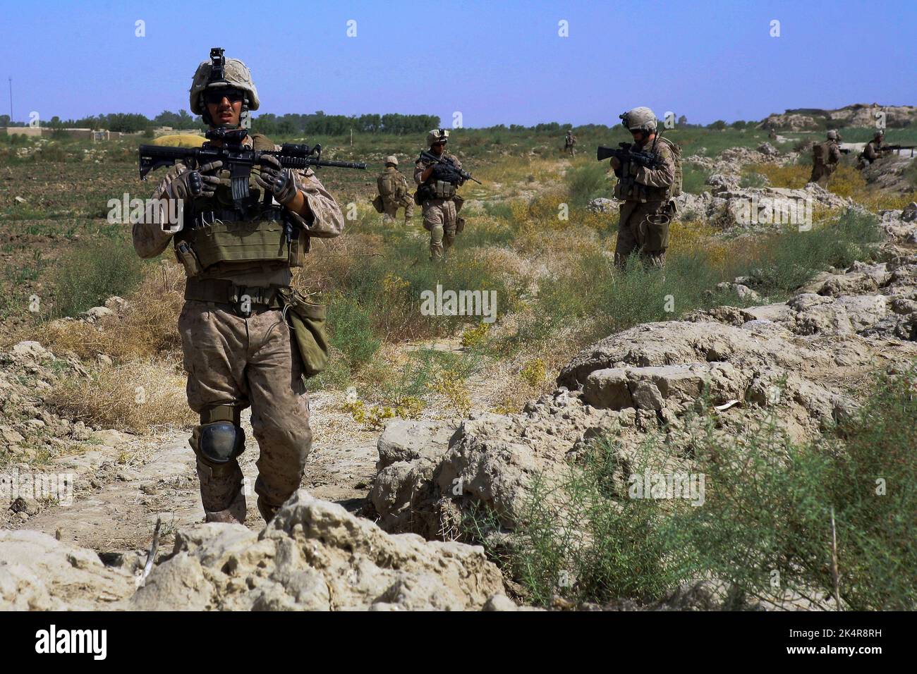 PROVINZ HELMAND, AFGHANISTAN - 27. Juli 2009 - US-Marineinfanteristen mit Fox Company, 2. Bataillon, 8. Marine Regiment gehen während einer Sicherheitskontrolle durch ein Feld Stockfoto