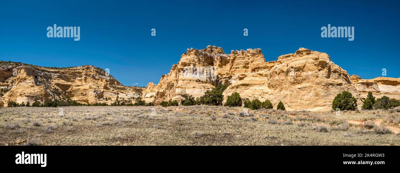 Sandsteinfelsen in der Nähe von Swasey Cabin, Sinbad Country, San Rafael Swwell, Utah, USA Stockfoto