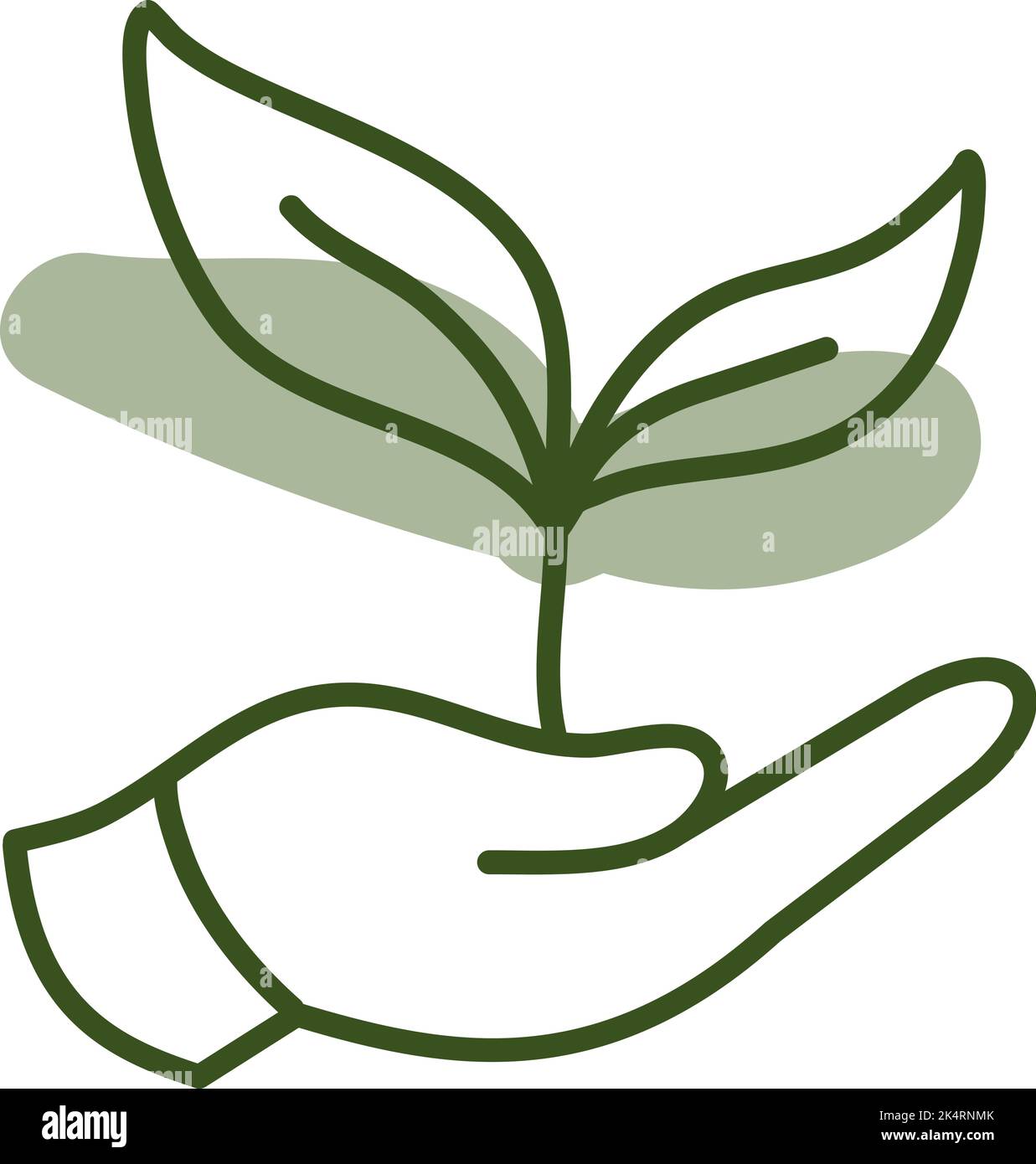 Selbst gewachsene Pflanzen, Illustration, Vektor auf weißem Hintergrund. Stock Vektor Selbst gewachsene Pflanzen, Illustration, Vektor auf weißem Hintergrund. Stock Vektor
