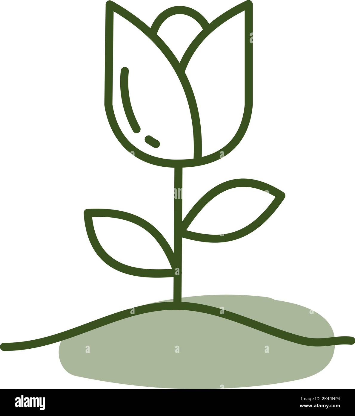 Gartenrose, Illustration, Vektor auf weißem Hintergrund. Stock Vektor