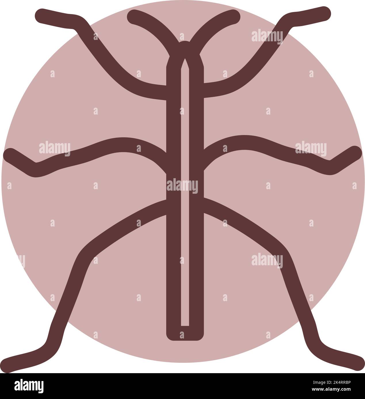 Cricket Bug, Illustration, Vektor auf weißem Hintergrund. Stock Vektor