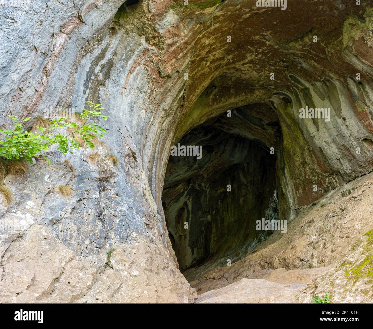 Eintritt in Thor's Cave, Wetton, Staffordshire, Großbritannien Stockfoto