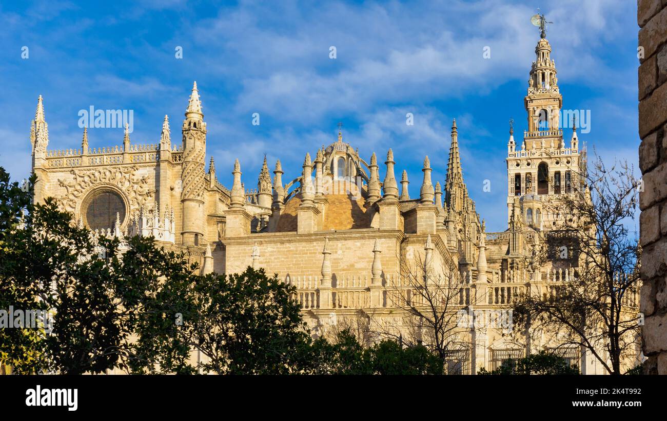 Die gotische Kathedrale, Sevilla, Provinz Sevilla, Andalusien, Spanien. Rechts oben befindet sich der Giralda-Turm. Catedral de Santa María de la Sede/Cathe Stockfoto