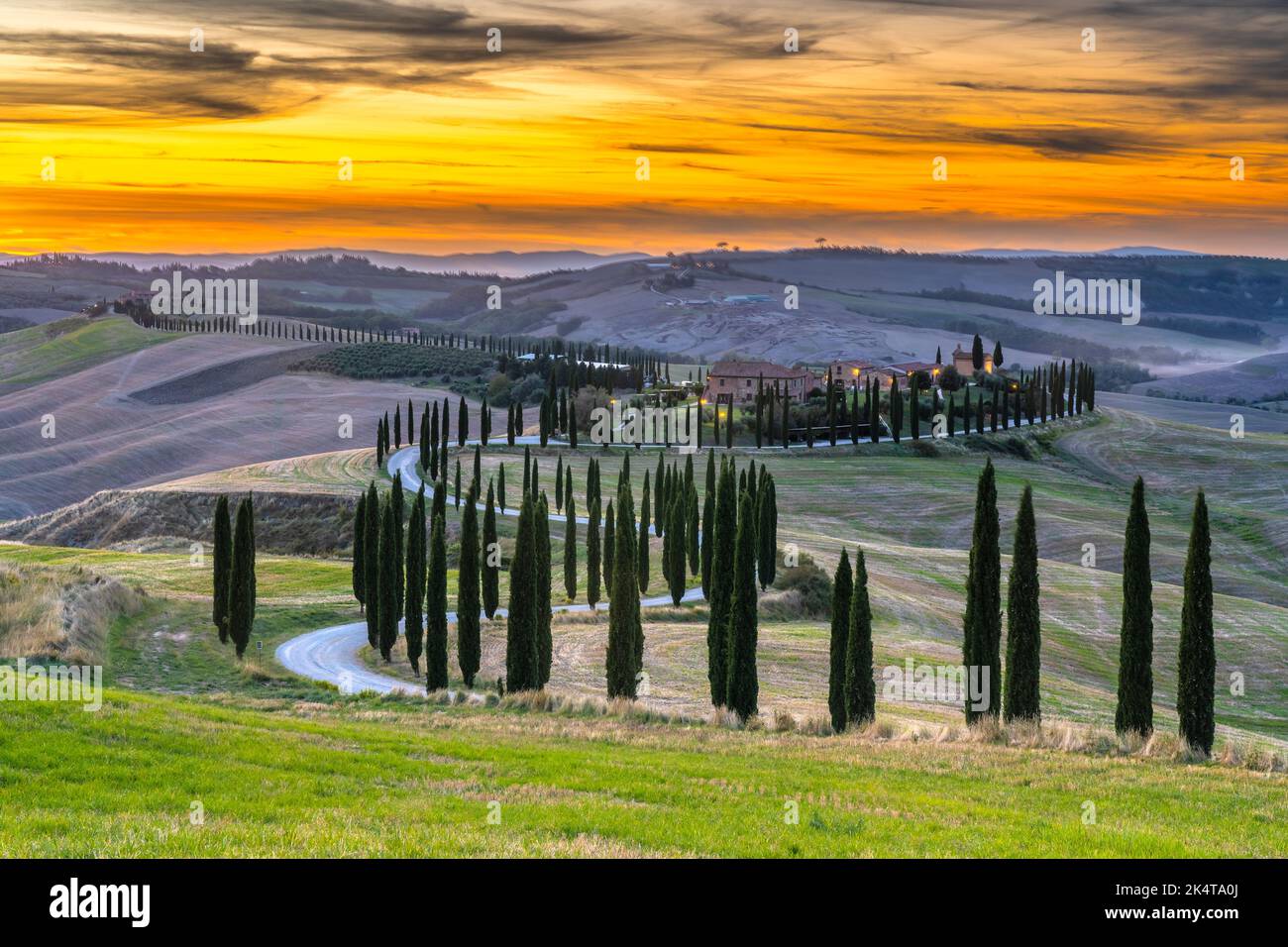 Typische toskanische Landschaft im Val D'Orcia (Siena) mit Zypressen, bei Sonnenuntergang Stockfoto