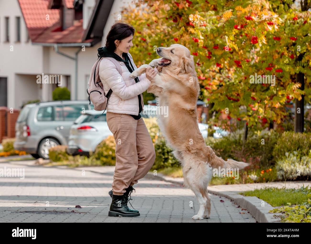 Mädchen und Golden Retriever Hund Stockfoto