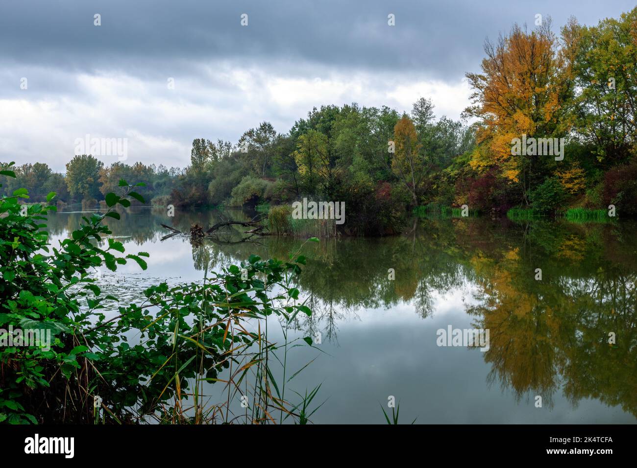 Herbstlandschaft, schöne bunte Blätter von Bäumen. See mit ruhiger Wasseroberfläche nach Regen. Spiegelung. Natur Europas. Dubnica, Slowakei. Stockfoto