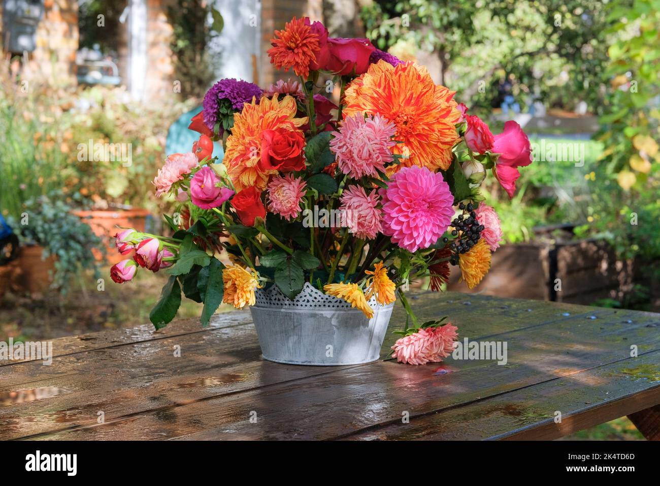 Blumen: rosen, Astern, Dahilia im Apfelgarten auf einem Holztisch. Floristisches Design. Sonniger Tag Stockfoto
