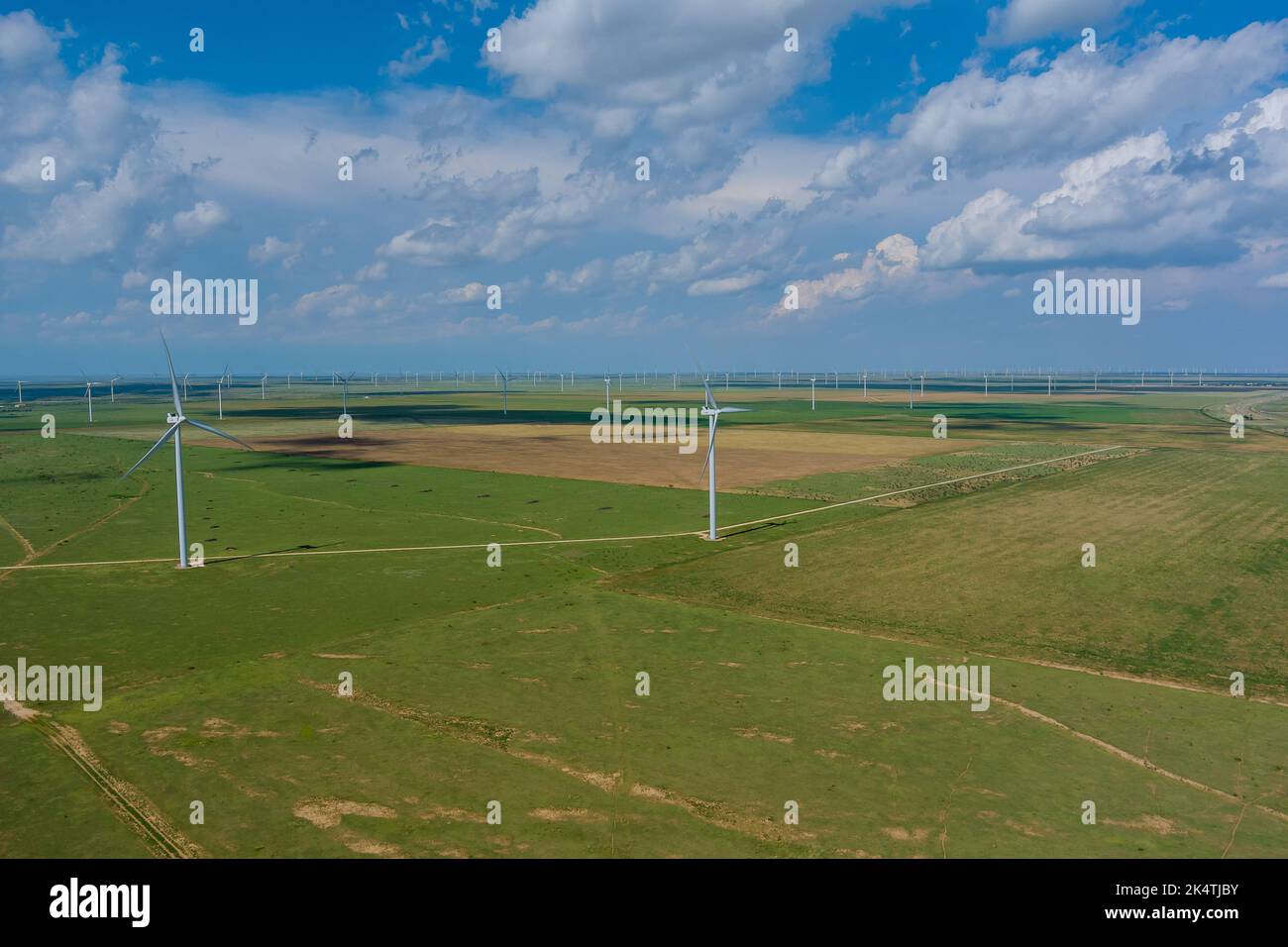 Auf einem Windpark in Texas, USA, wird eine Reihe von Windmühlen zur Erzeugung erneuerbarer Energie eingesetzt. Stockfoto