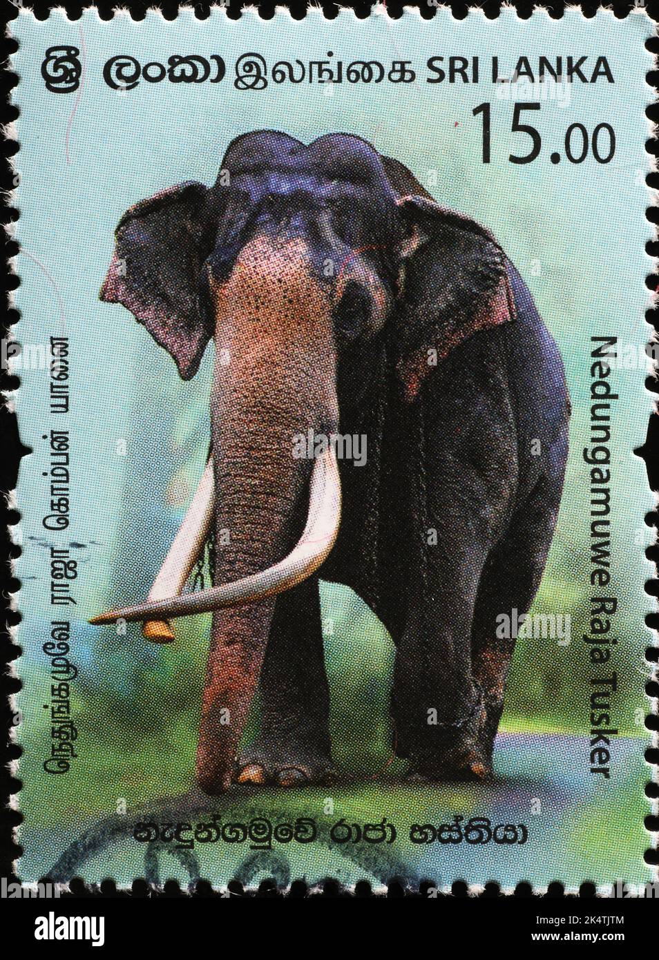 Asiatischer Elefant mit riesigen Stoßzähnen auf Briefmarke aus Sri Lanka Stockfoto