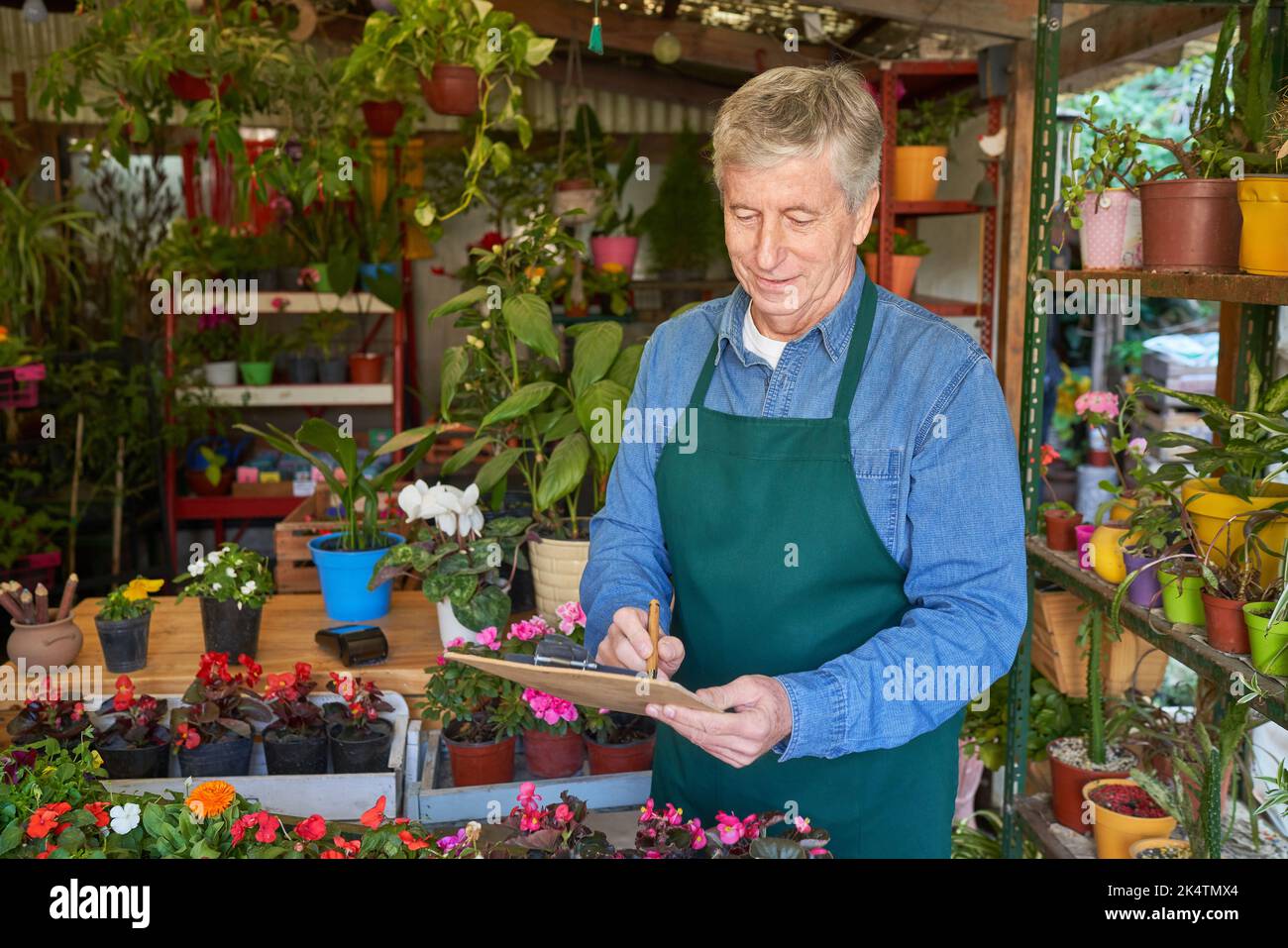 Der ältere Gärtner als Besitzer führt Inventar- und Qualitätskontrolle im Blumenladen durch Stockfoto