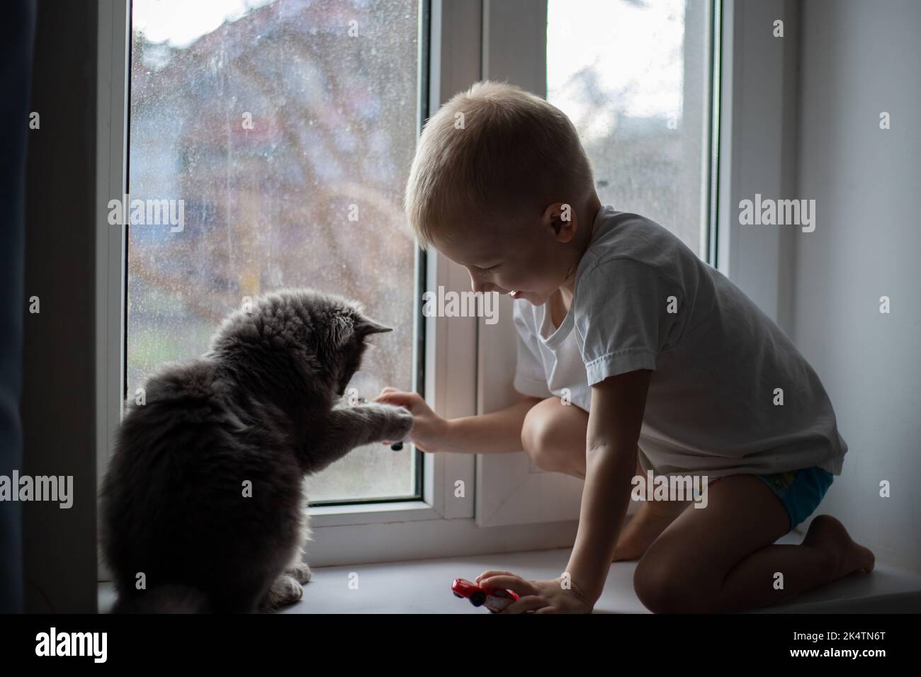 Ein Kind zu Hause sitzt mit einer grauen Katze auf dem Fenster, ein Kind spielt mit einer Katze. Graue Katze, Grautöne. Liebe für Tiere. Stockfoto