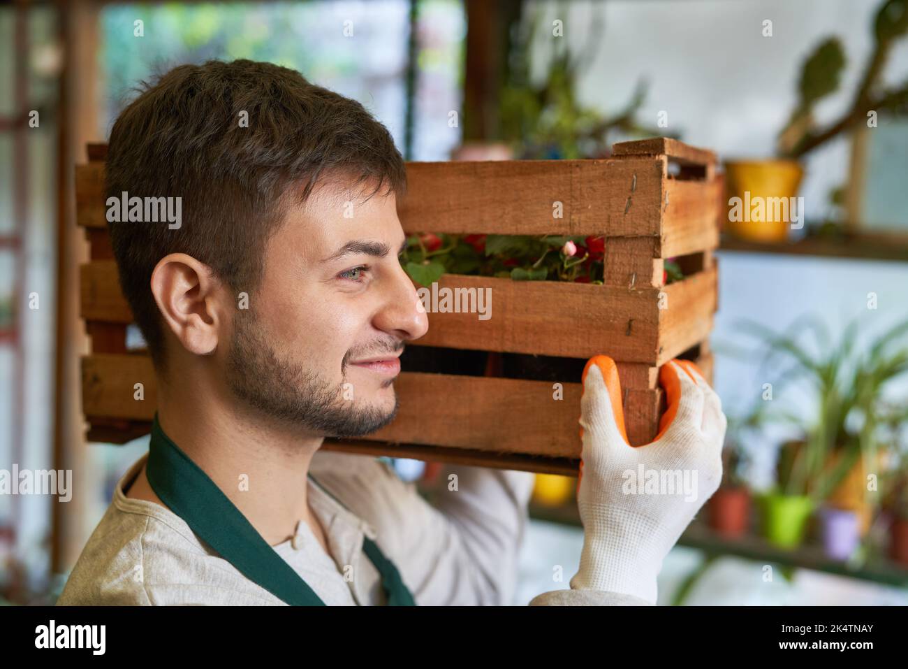 Der junge GärtnerLehrling trägt eine Schachtel Blumen zur Geburt in