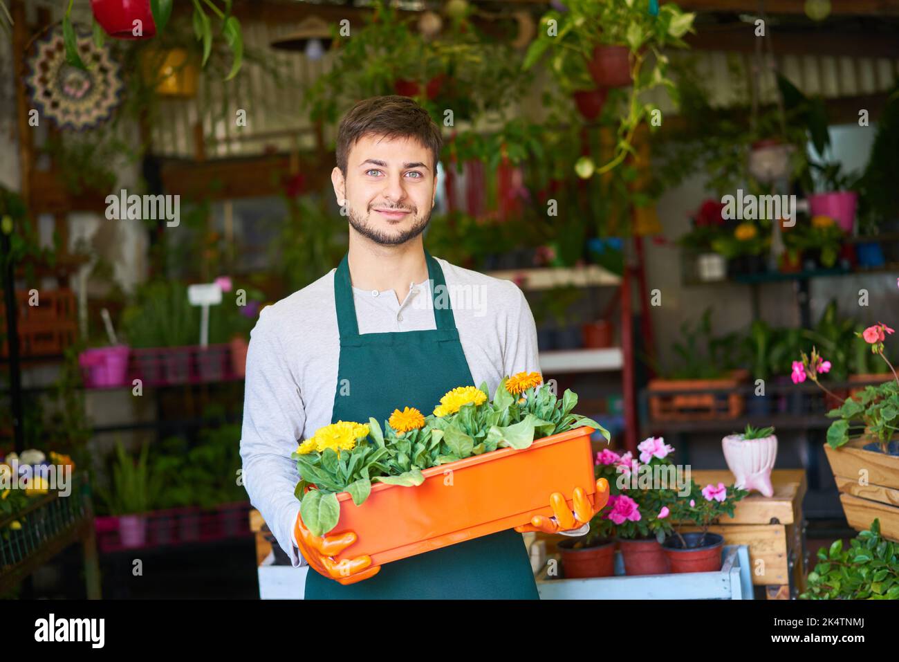 Junger Mann als Blumenhändler mit Zimmerpflanzen zum Verkauf in Baumschule Blumenladen Stockfoto