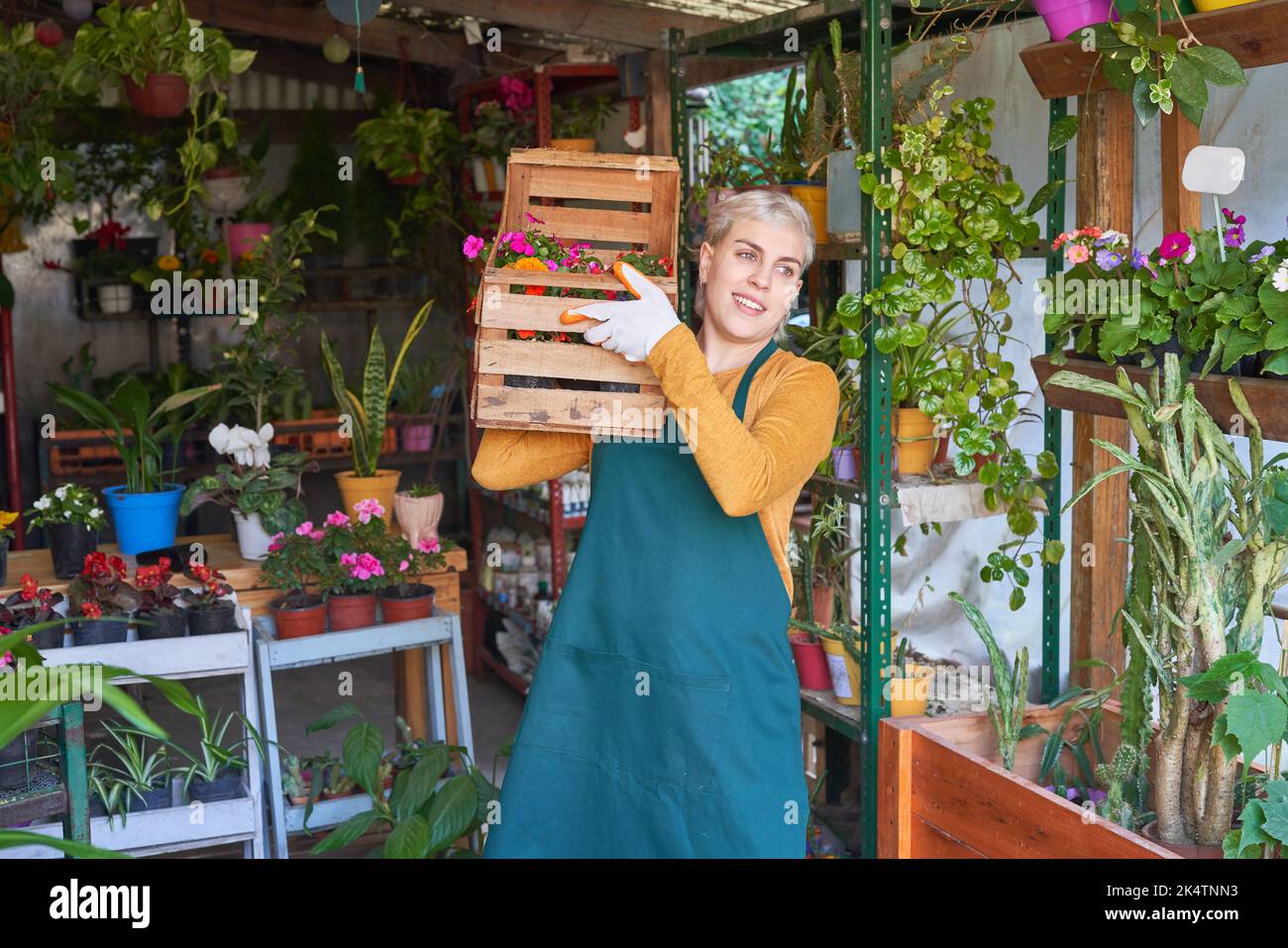 Junge Gärtnerin trägt eine Schachtel Blumen für eine Bestellung im Baumschulladen Stockfoto