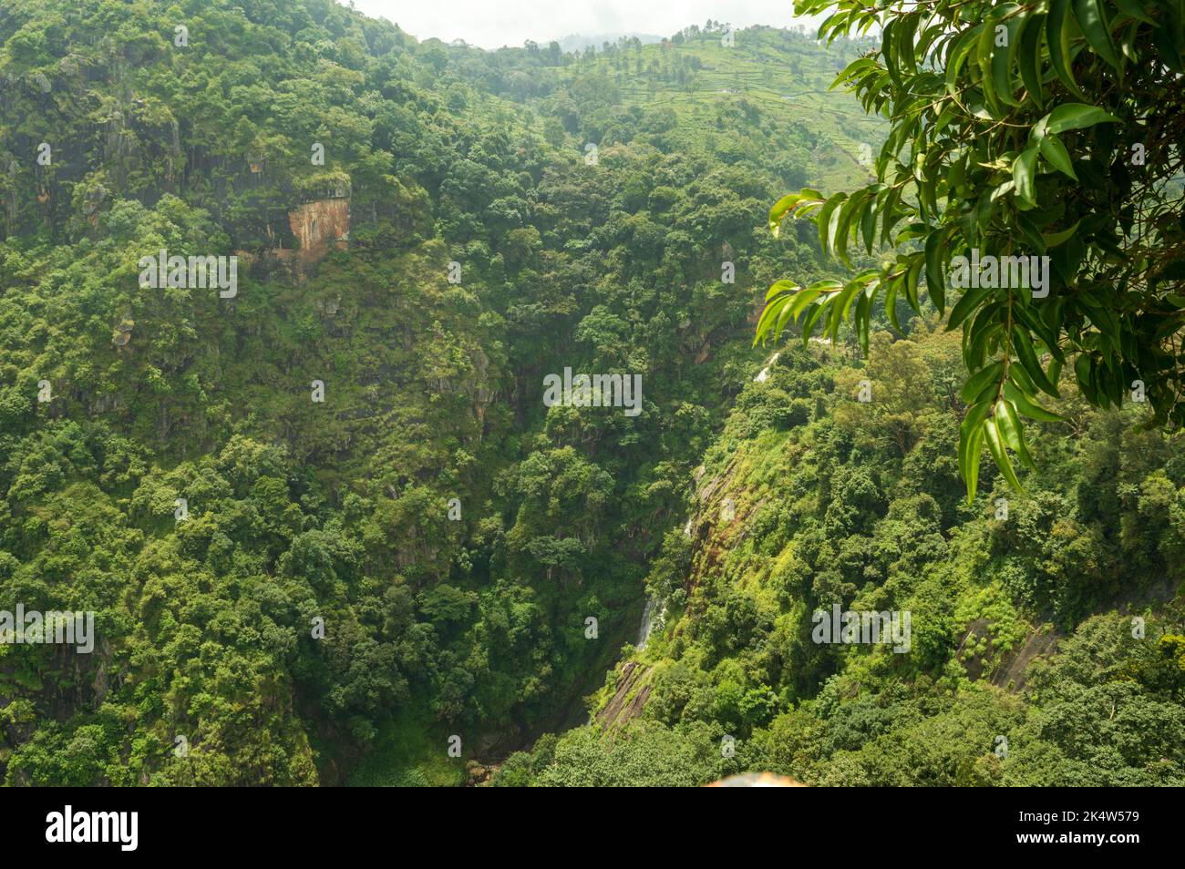 Catherine Falls ist ein doppelt kaskadierter Wasserfall in Kothagiri, dem Nilgiris District. Es ist der wichtigste Touristenort. Stockfoto