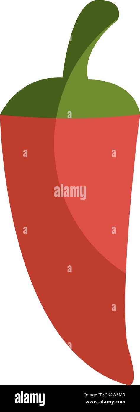 Rote Chilischote, Illustration, Vektor auf weißem Hintergrund. Stock Vektor