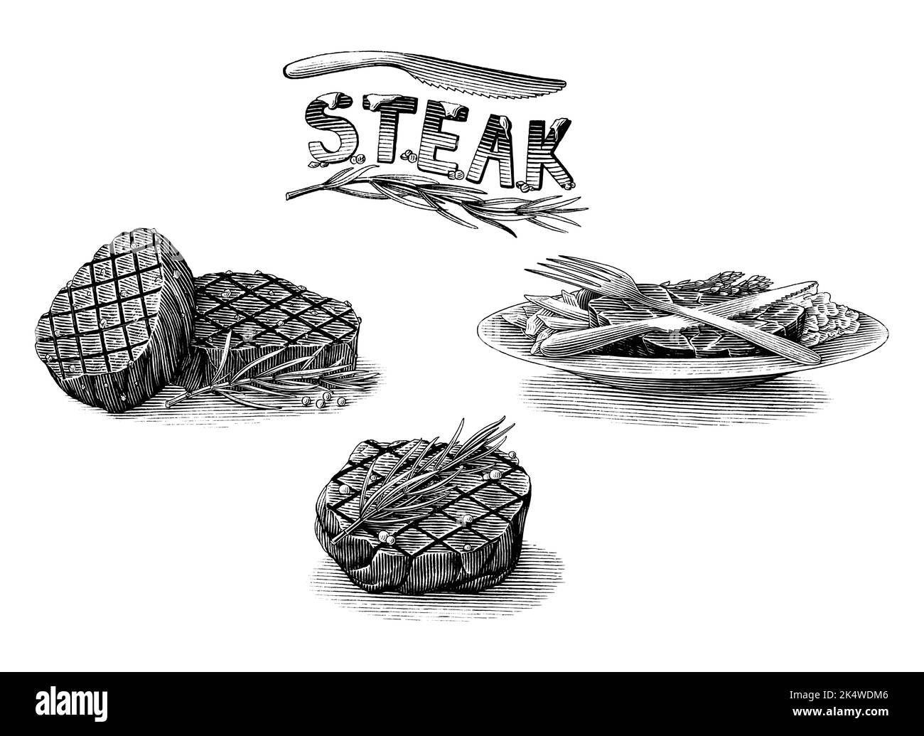 Steak Handzeichnung Gravur schwarz-weiß Cliparts Stock Vektor