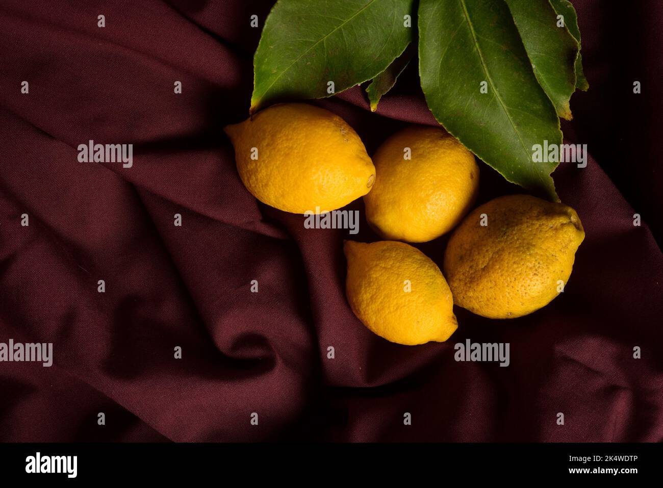 Herstellung von Zitronen.La Pampa Argentinien Stockfoto