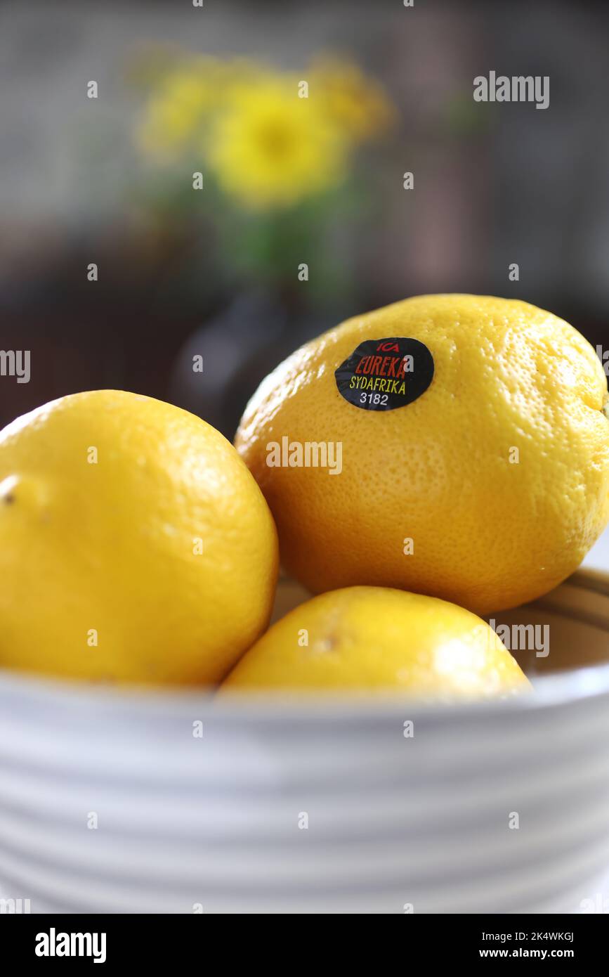 Zitronen der Marke Eureka aus dem ICA-Lebensmittelgeschäft in einer Schüssel auf einem Küchentisch in einem Haus. Stockfoto