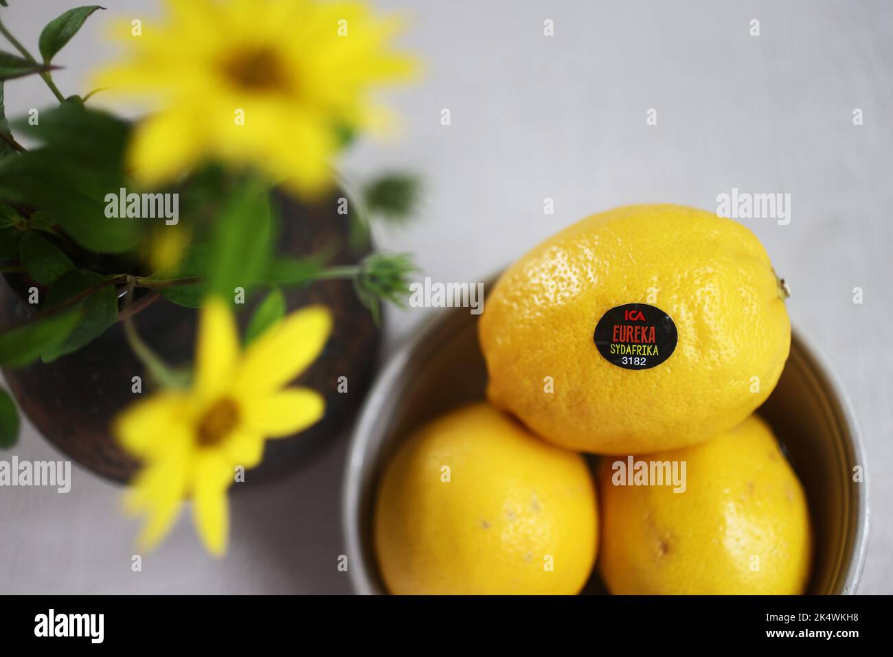Zitronen der Marke Eureka aus dem ICA-Lebensmittelgeschäft in einer Schüssel auf einem Küchentisch in einem Haus. Stockfoto