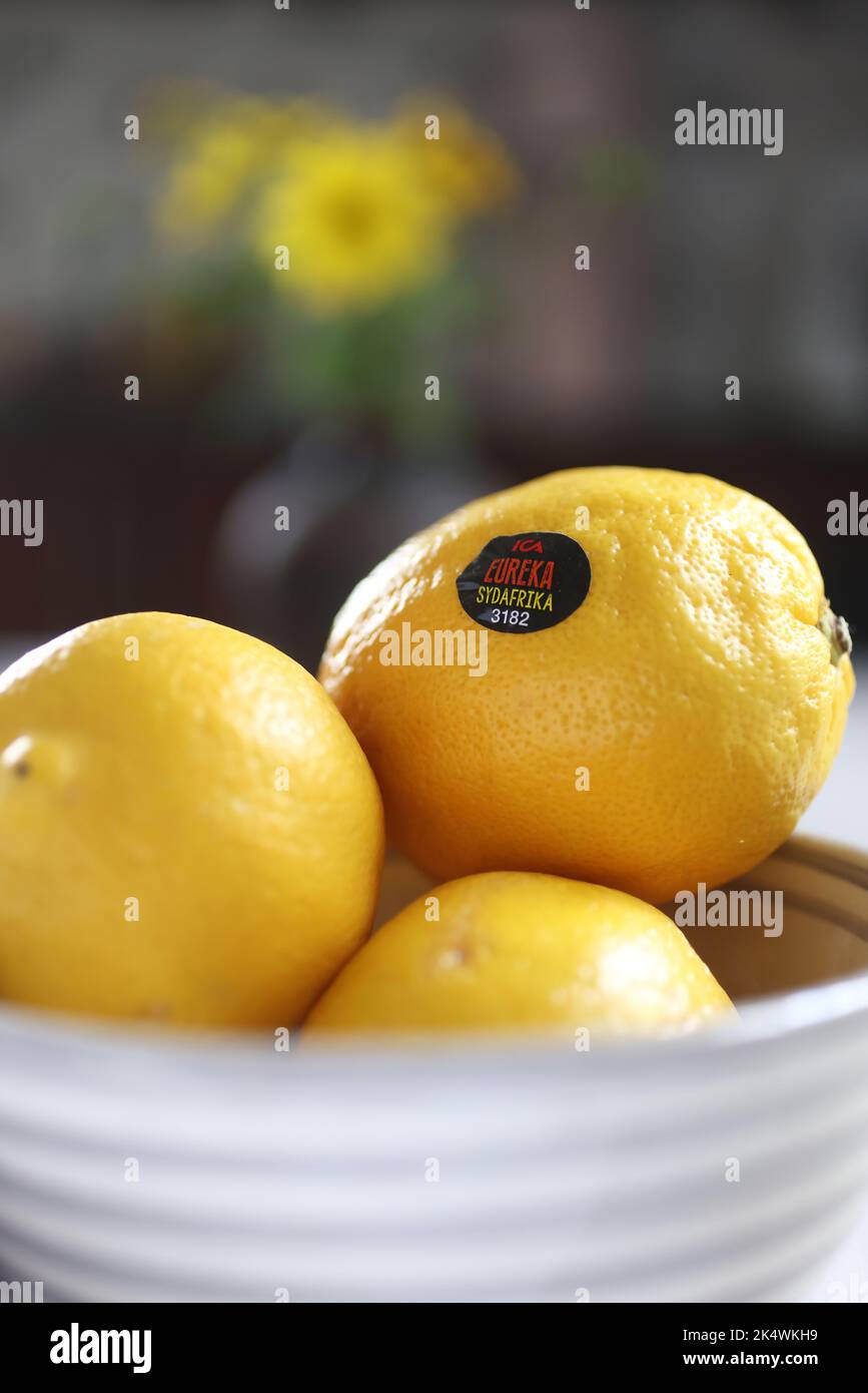 Zitronen der Marke Eureka aus dem ICA-Lebensmittelgeschäft in einer Schüssel auf einem Küchentisch in einem Haus. Stockfoto
