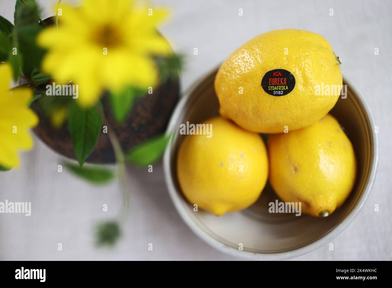 Zitronen der Marke Eureka aus dem ICA-Lebensmittelgeschäft in einer Schüssel auf einem Küchentisch in einem Haus. Stockfoto