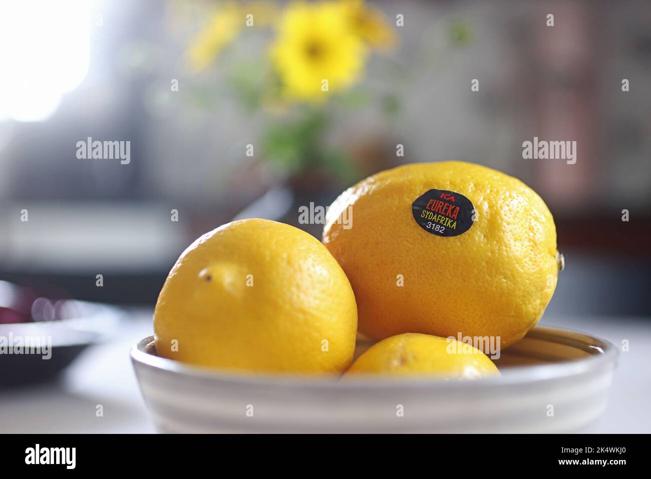 Zitronen der Marke Eureka aus dem ICA-Lebensmittelgeschäft in einer Schüssel auf einem Küchentisch in einem Haus. Stockfoto