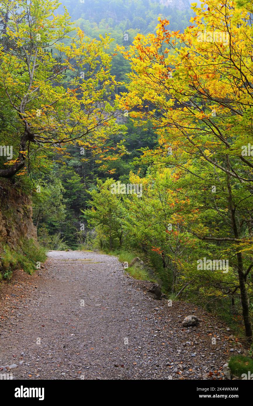 Wanderweg in Spanien. Ordesa-Tal in den spanischen Pyrenäen. Herbst im Nationalpark Ordesa y Monte Perdido. Stockfoto