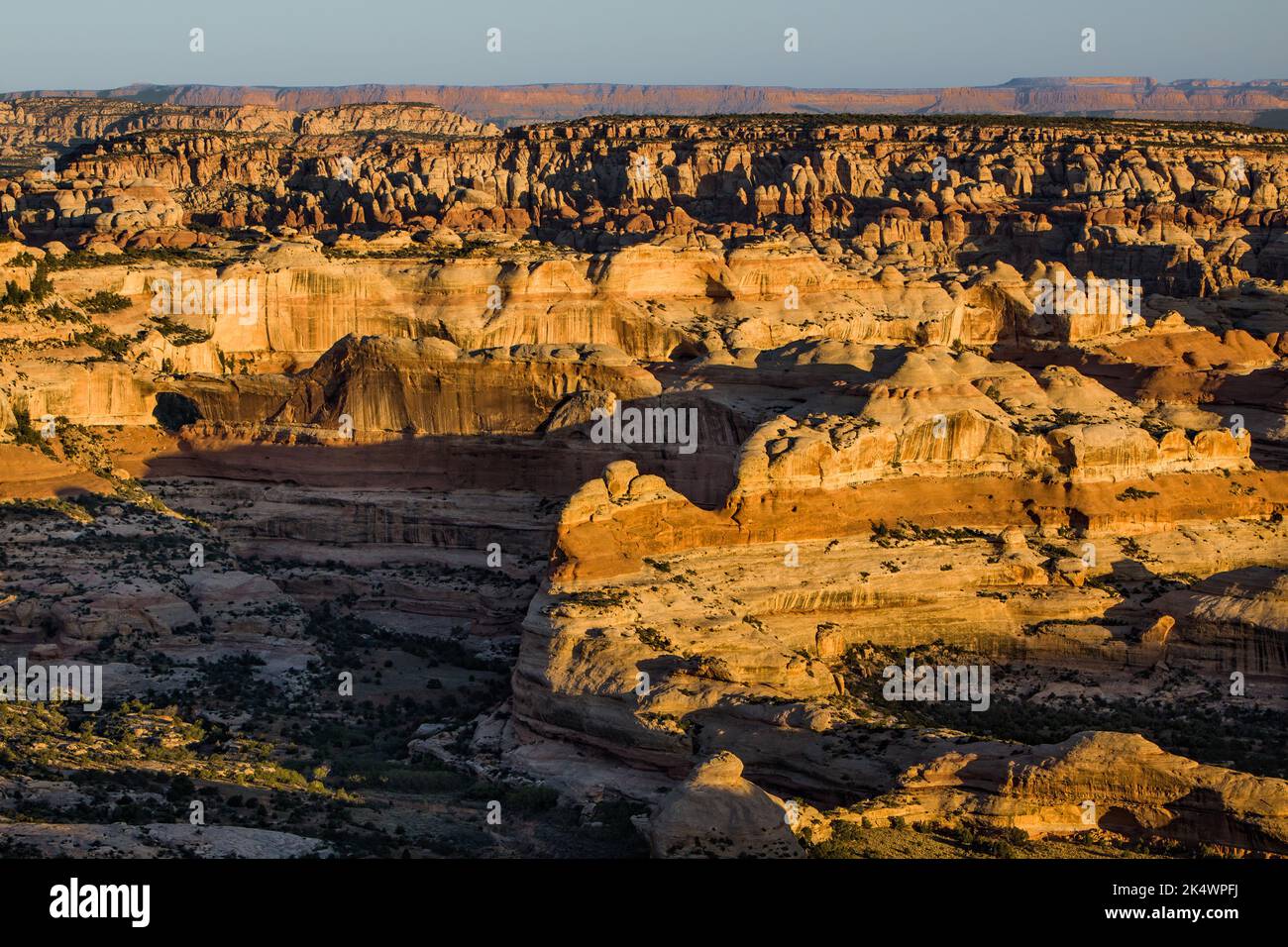 Blick auf den Needles District von Canyonlands NP bei Sonnenaufgang vom Big Pocket Overlook auf Cathedral Point. Utah. Dahinter stehen die Orange Cliffs im GL Stockfoto