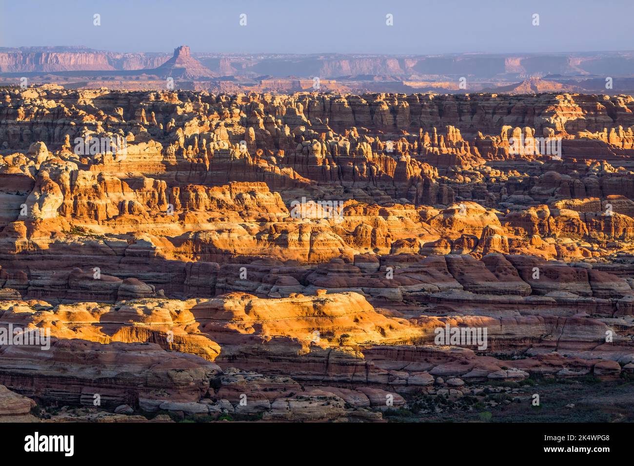 Blick auf den Needles District von Canyonlands NP bei Sonnenaufgang vom Big Pocket Overlook auf Cathedral Point. Utah. Dahinter sind Ekker Butte und die Orange Stockfoto