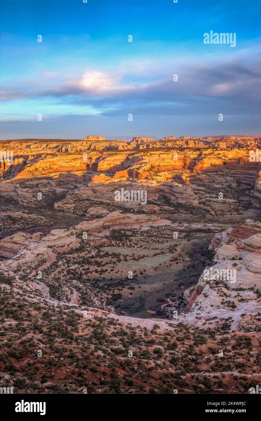 Blick auf den Needles District von Canyonlands NP bei Sonnenaufgang vom Big Pocket Overlook auf Cathedral Point. Utah. Stockfoto