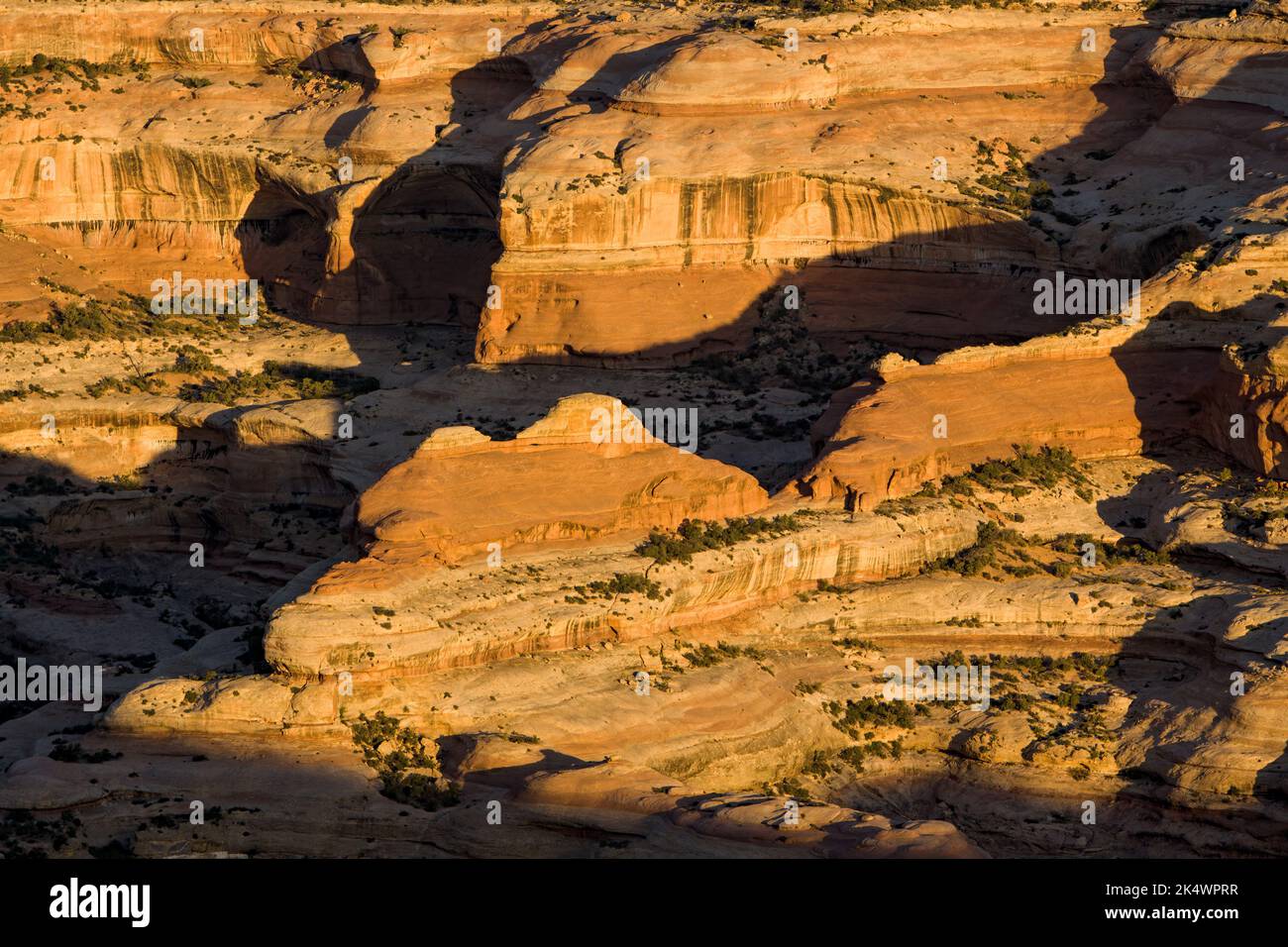 Blick auf den Needles District von Canyonlands NP bei Sonnenaufgang vom Big Pocket Overlook auf Cathedral Point. Utah. Stockfoto