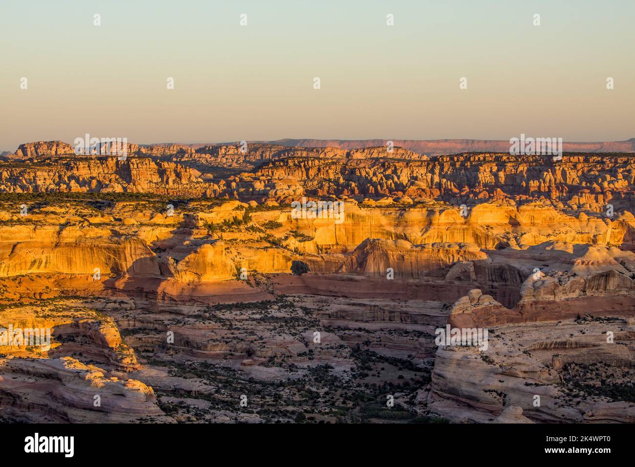 Blick auf den Needles District von Canyonlands NP bei Sonnenaufgang vom Big Pocket Overlook auf Cathedral Point. Utah. Stockfoto