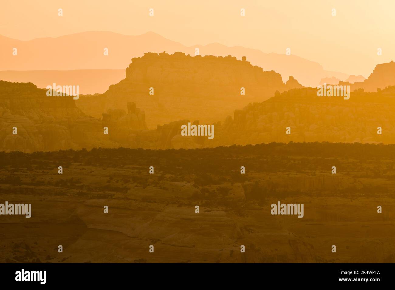 Blick auf den Sonnenuntergang auf den Needles District von Canyonlands NP vom Big Pocket Overlook am Cathedral Point. Utah. Stockfoto