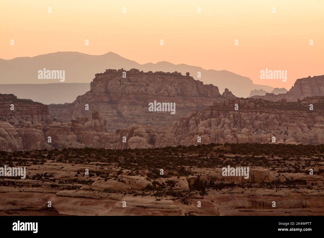Blick nach dem Sonnenuntergang auf den Needles District von Canyonlands NP vom Big Pocket Overlook am Cathedral Point. Utah. Stockfoto