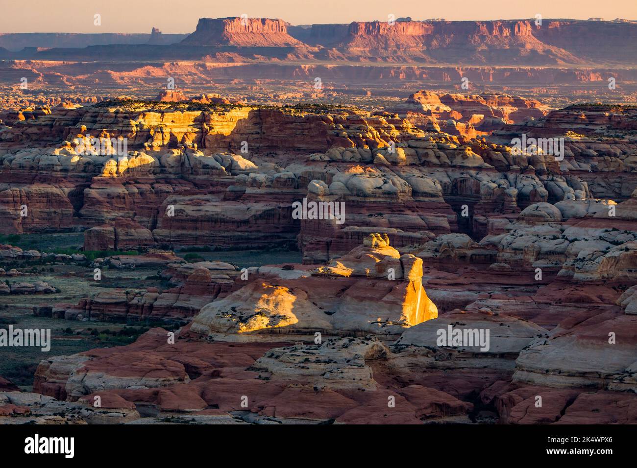 Blick auf den Needles District von Canyonlands NP bei Sonnenaufgang vom Big Pocket Overlook auf Cathedral Point. Utah. IM Hintergrund ist der Candlestick zu sehen Stockfoto