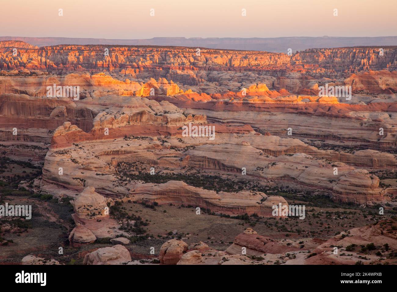 Blick auf den Needles District von Canyonlands NP bei Sonnenaufgang vom Big Pocket Overlook auf Cathedral Point. Utah. Stockfoto