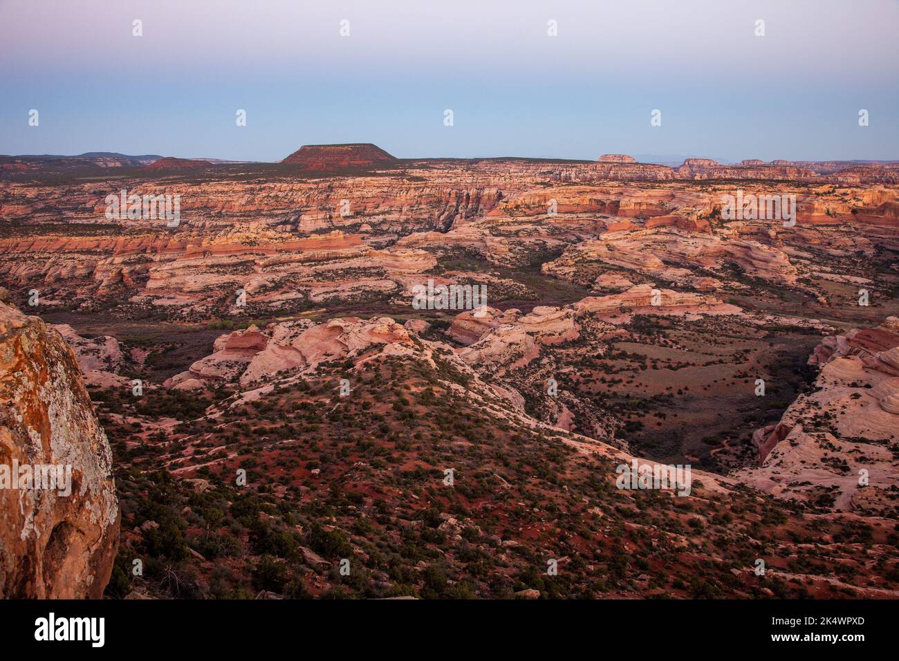 Blick auf den Needles District von Canyonlands NP bei Sonnenaufgang vom Big Pocket Overlook auf Cathedral Point. Utah. Stockfoto