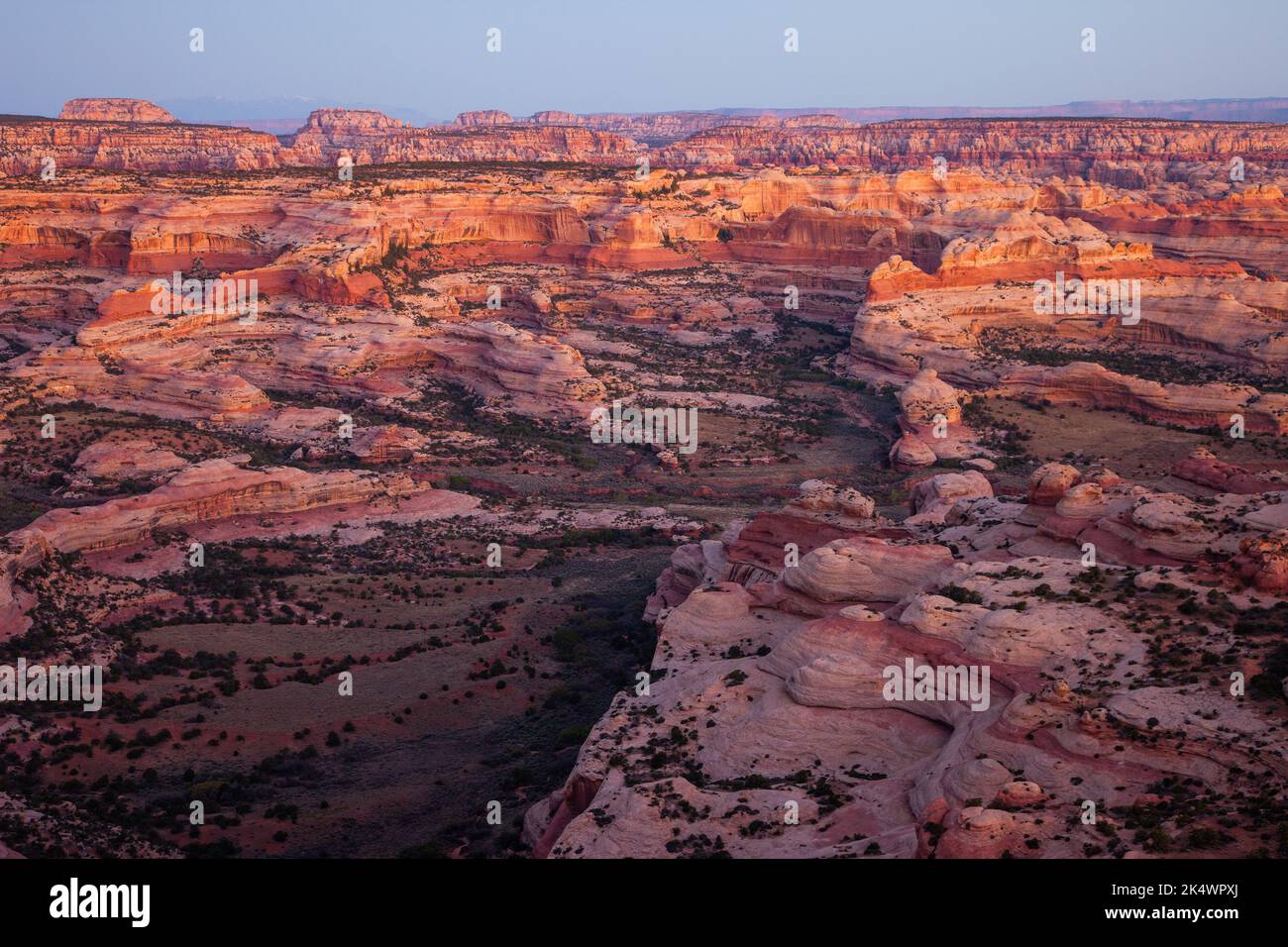 Blick auf den Needles District von Canyonlands NP bei Sonnenaufgang vom Big Pocket Overlook auf Cathedral Point. Utah. Stockfoto