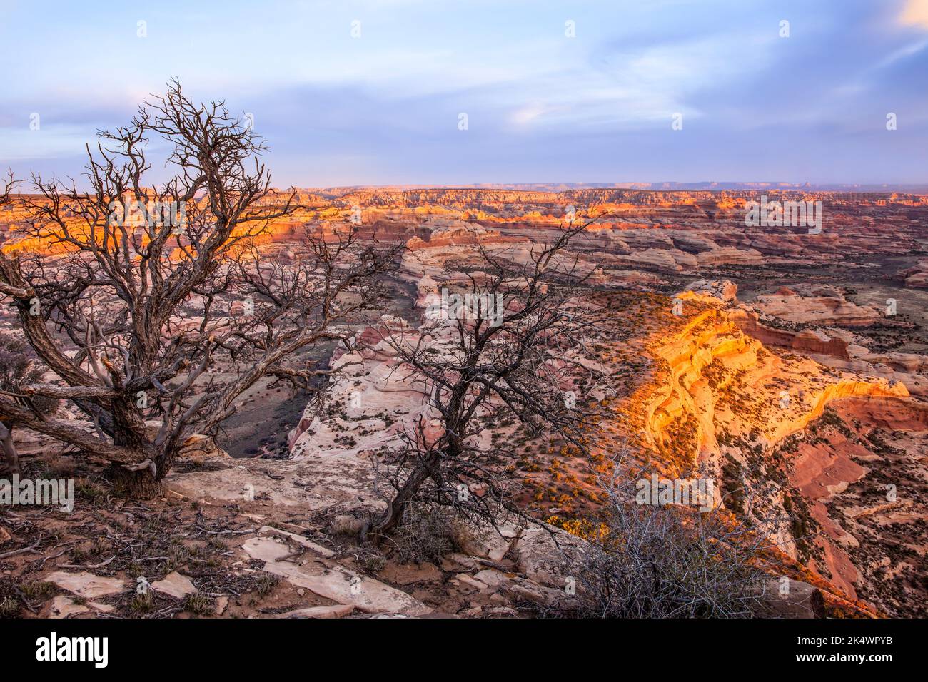 Blick auf den Needles District von Canyonlands NP bei Sonnenaufgang vom Big Pocket Overlook auf Cathedral Point. Utah. Stockfoto