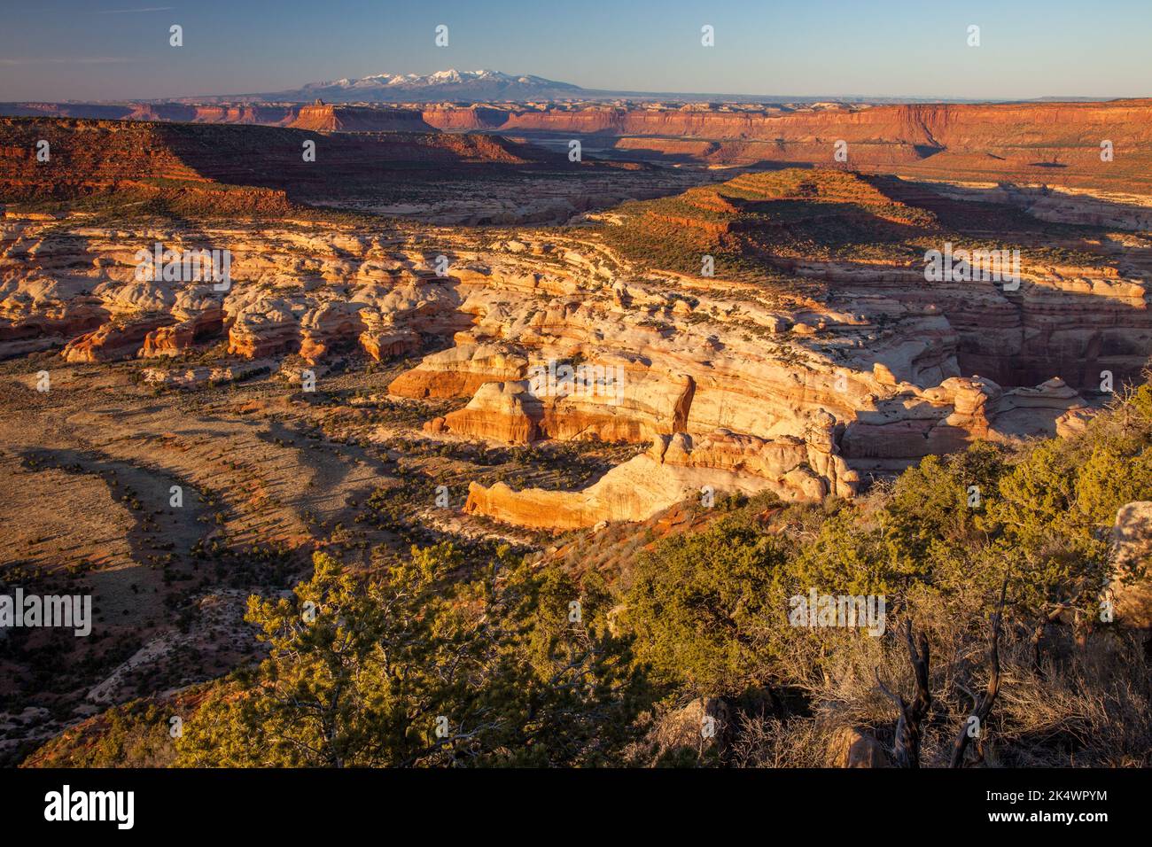 Blick auf den Needles District von Canyonlands NP bei Sonnenaufgang vom Big Pocket Overlook auf Cathedral Point. Utah. Dahinter befindet sich die schneebedeckte La Sal Moun Stockfoto