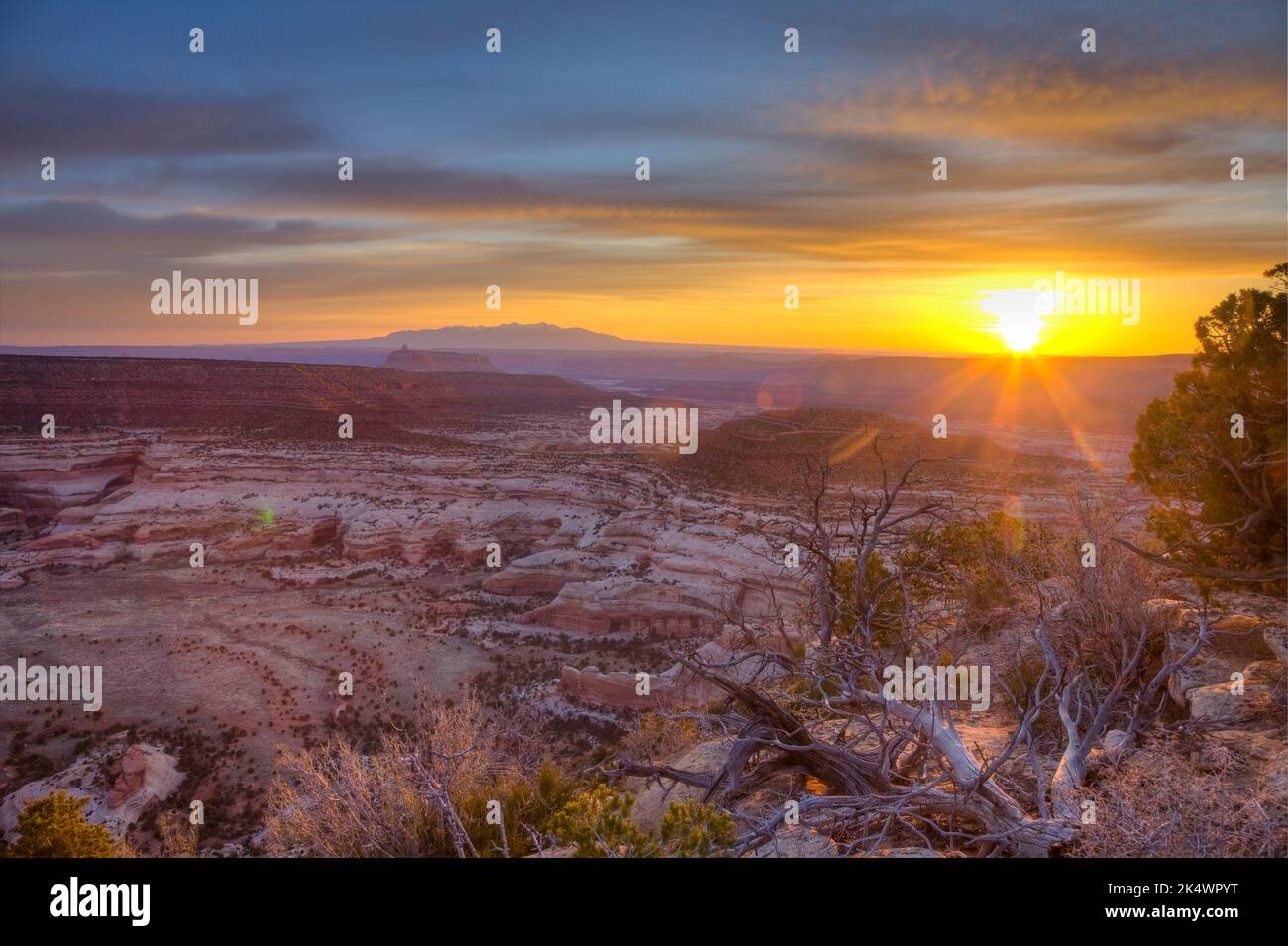 Blick auf den Needles District von Canyonlands NP bei Sonnenaufgang vom Big Pocket Overlook auf Cathedral Point. Utah. Die Berge von La Sal im Hintergrund. Stockfoto
