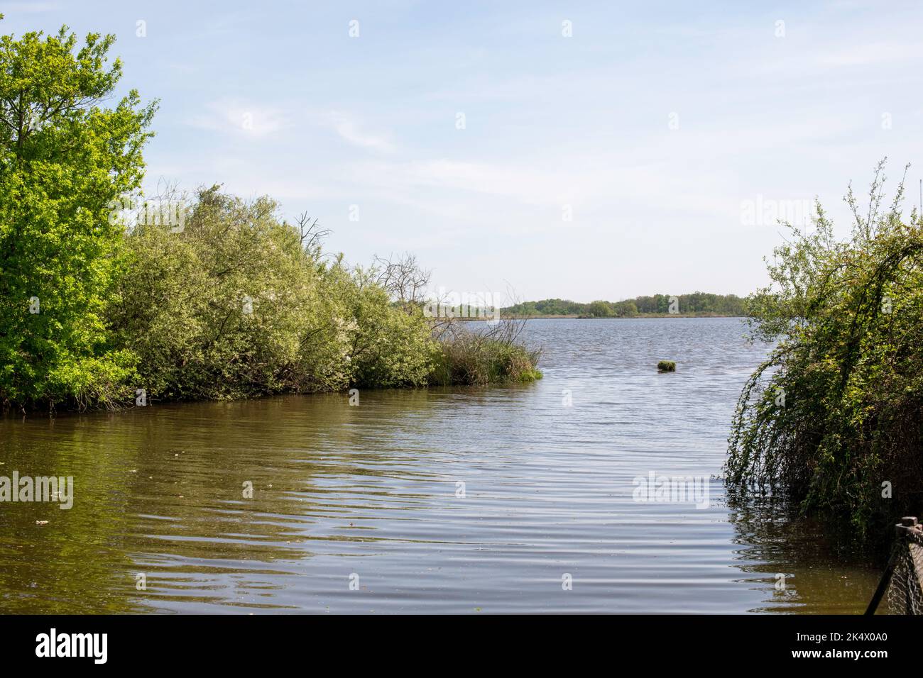 Teich des Parc Régional de la Brenne en France. Dieser Teich ist einer der 3000 anderen Teiche dieses Parc Régional. Viele Vögel finden das ganze Jahr über statt. Stockfoto