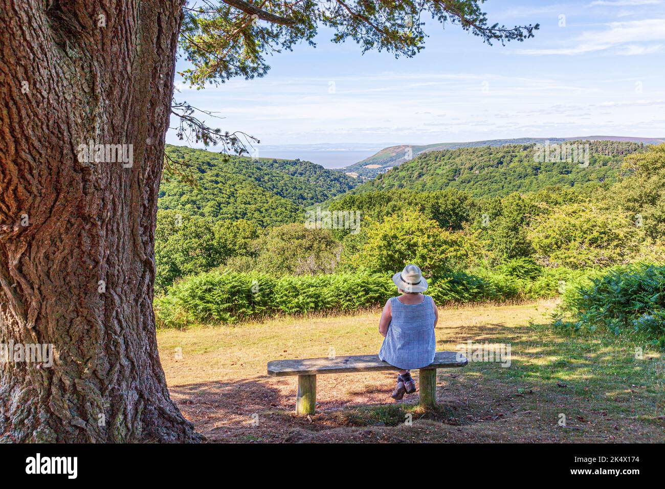 Eine Dame mittleren Alters, die die Aussicht von einem Sitz neben einem Reitweg auf dem Cloussham Ball im Exmoor National Park in Cloussham, Somerset, Großbritannien, genießt Stockfoto