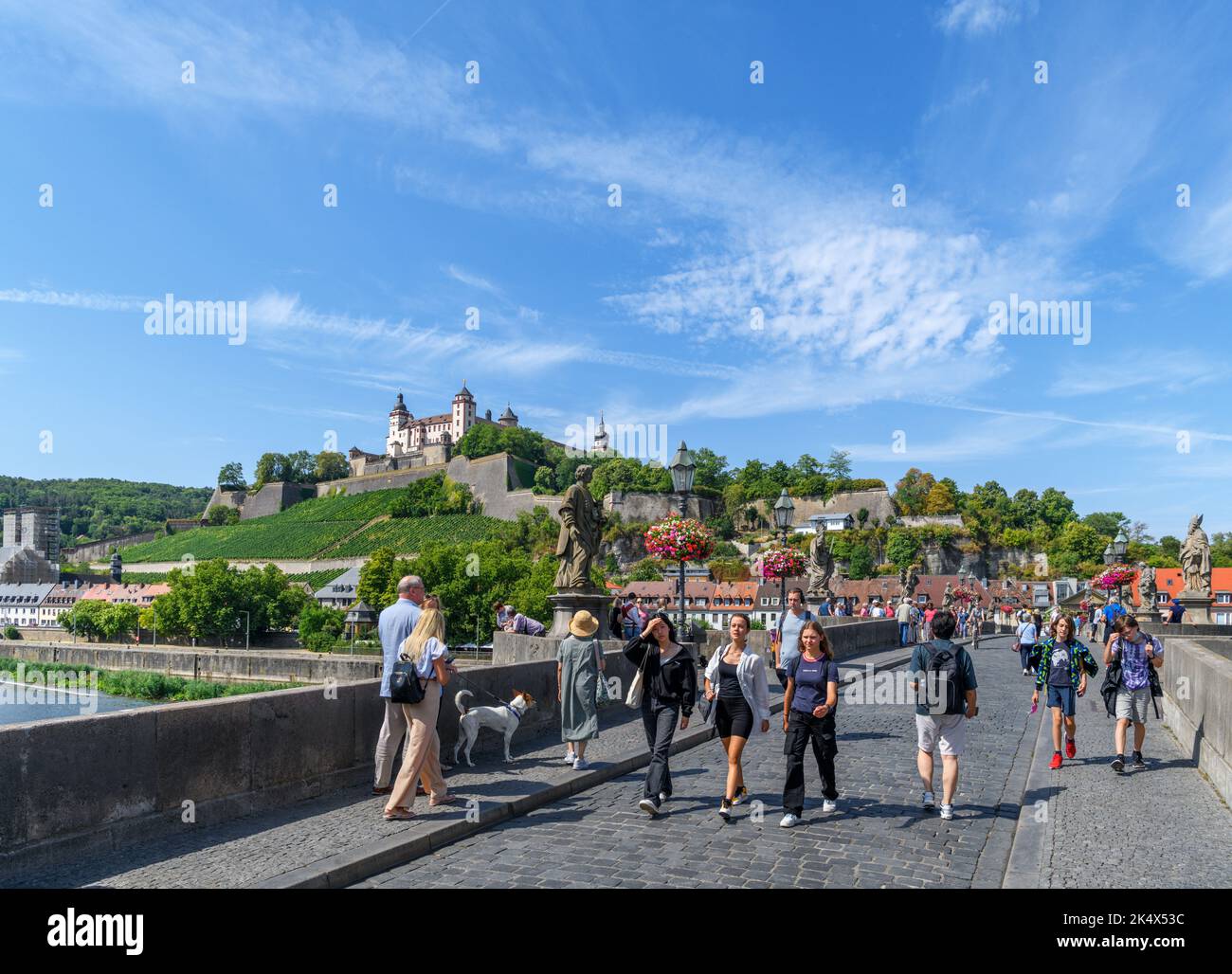 Die Festung Marienberg von der Alten Mainbrücke, Altstadt, Würzburg, Bayern, Deutschland Stockfoto