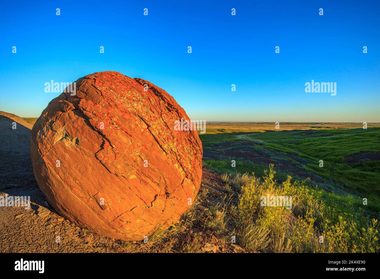 Die ersten Sonnenstrahlen beleuchten eine perfekt runde Sandsteinkugel im Red Rock Coulee Natural Area im Süden Albertas Stockfoto