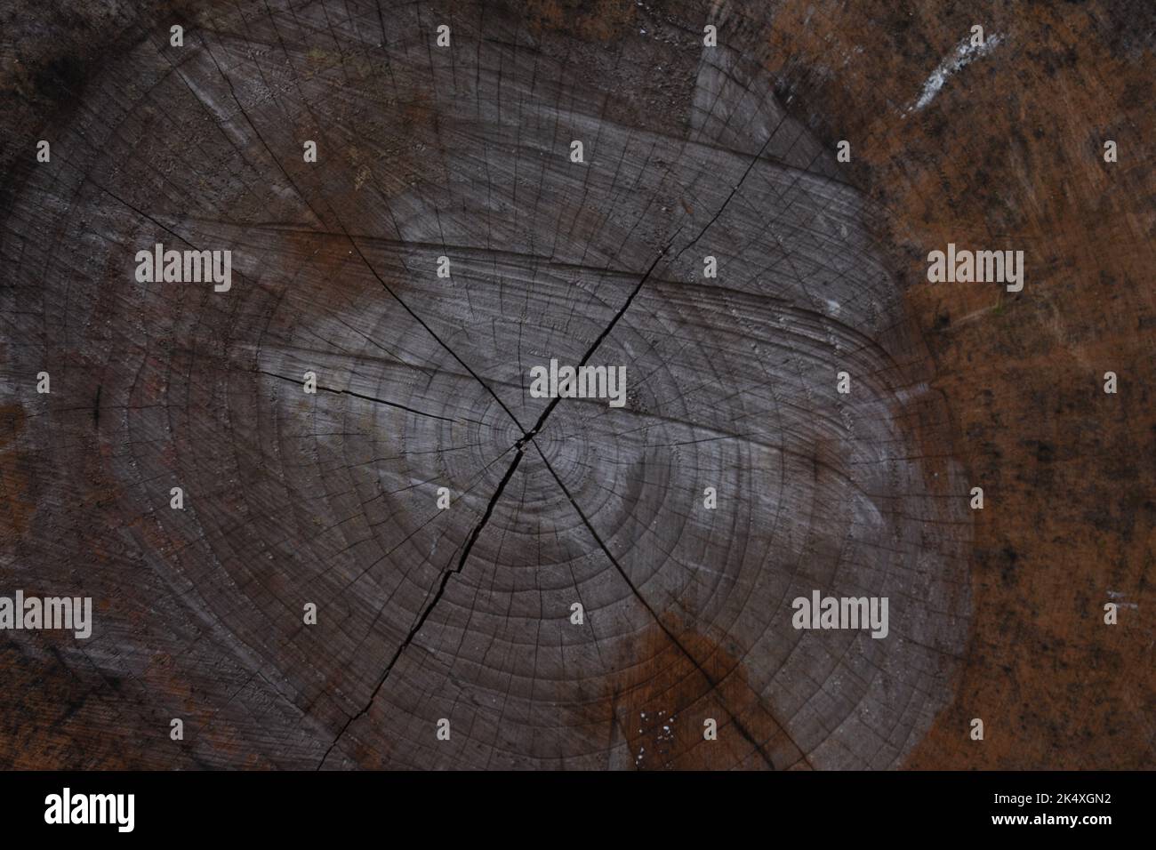 Holzschnitt Textur Nahaufnahme Foto Stockfoto