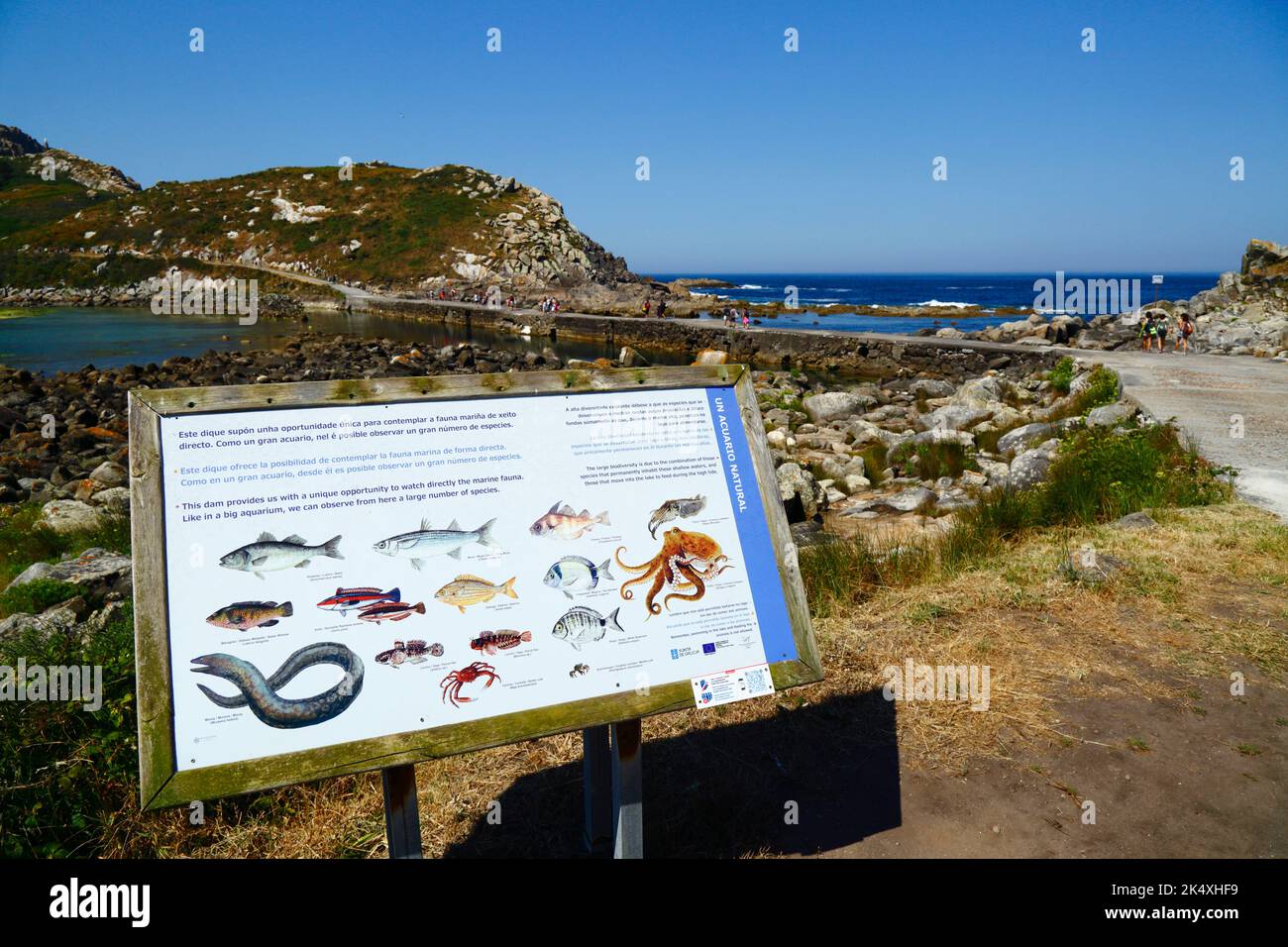 Informationstafel mit Bildern der Arten der marinen Tierwelt, die in den Lagunen in der Nähe des Cies Islands, Galicien, Spanien zu sehen sind. Stockfoto
